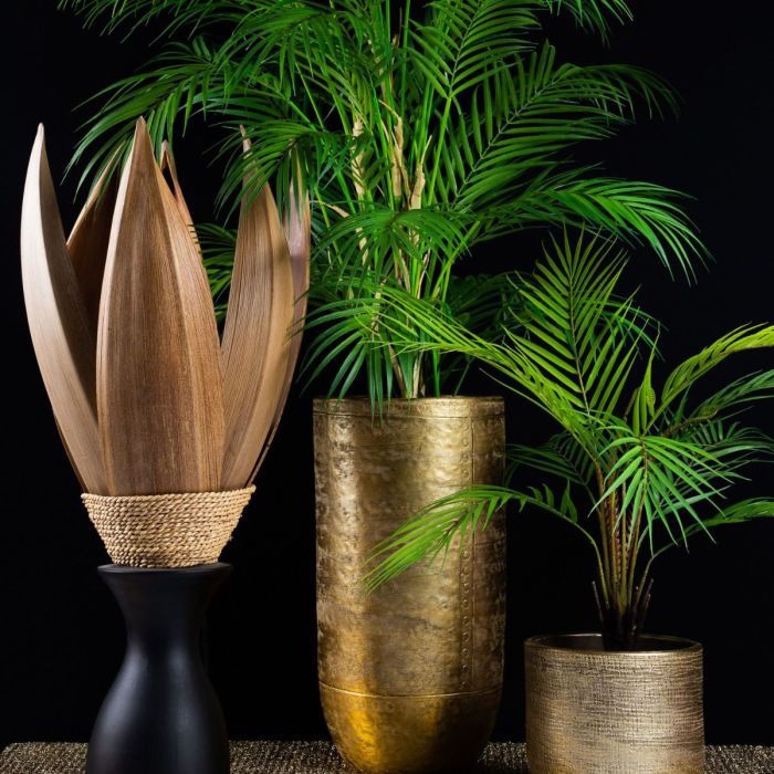 Bellezza paradisiaca