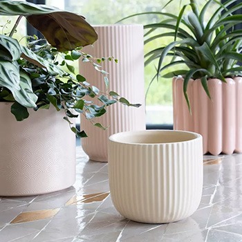 Fioriere color beige