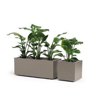 Vasi da fiori con serbatoio d'acqua