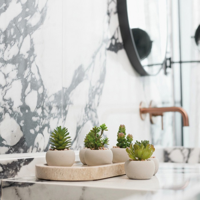 Succulente / Piante grasse