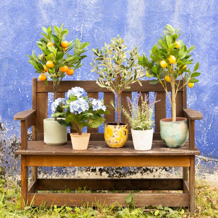 Sensazione mediterranea